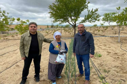 Nevşehir köylerinde tarlada çalışan anneler unutulmadı…