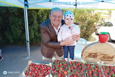 Bu çileği tüm Türkiye tanıyacak, tadacak