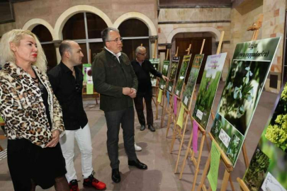 ‘Kapadokya bitkileri’ sergisi açıldı