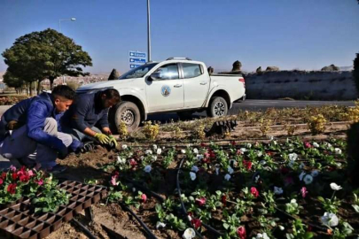 Avanos Belediyesi mevsimlik çiçek dikimine başladı