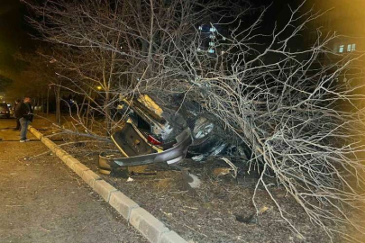 Nevşehir’de kontrolden çıkan araç ağaca çarptı: 1 yaralı