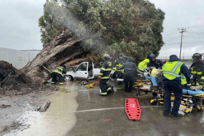 California’da sel ve fırtına: 2 ölü